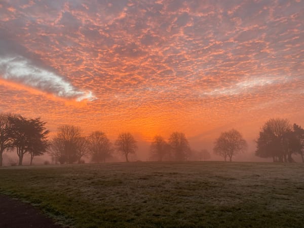 Autumn skies at Victoria Park, Birkenhead, January 2022